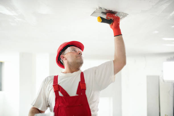 Best Drywall Sanding and Smoothing  in Wadena, MN